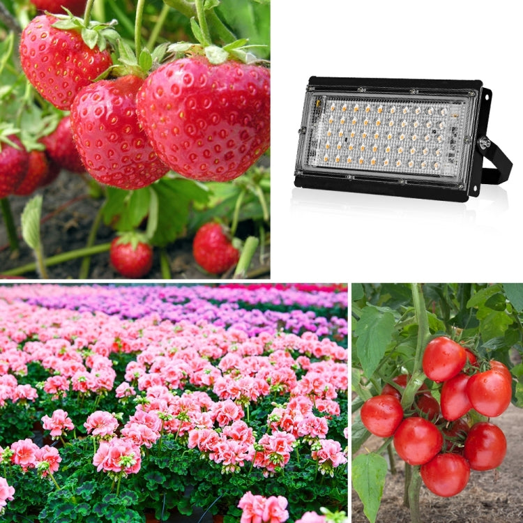 BowLift Full Spectrum Waterproof LED Grow Light for Plants, 200W, 144 Beads, EU Plug