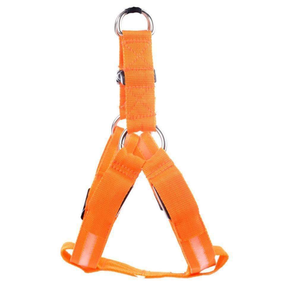 BowLift | High-Quality Collar Dog - Without Any Fear of Missing Your Beloved Pet Dog!