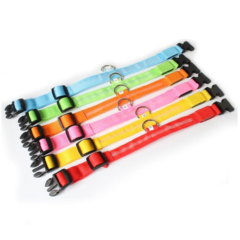 LED Dog Collar - GlowCollar Bowlift