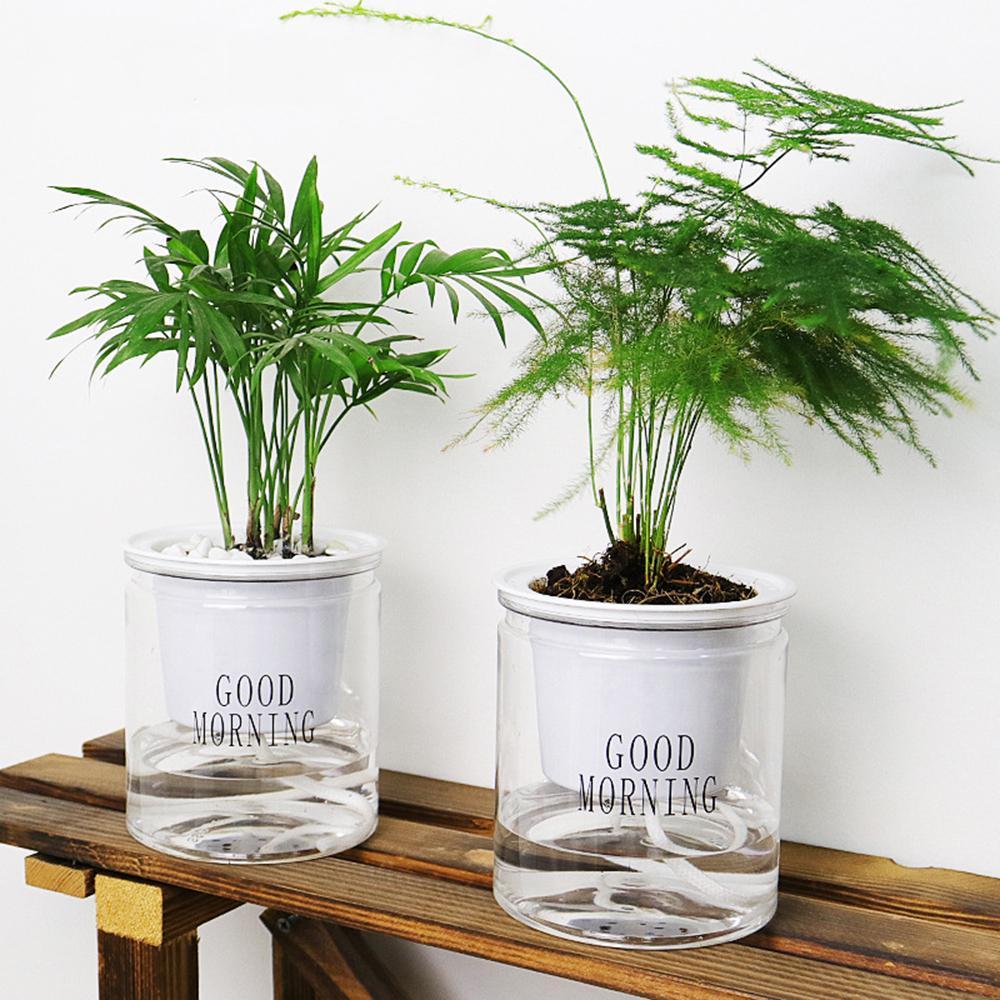 BowLift Self-Watering Hydro Flower Pot β Effortless Hydration for Lush, Vibrant Blooms