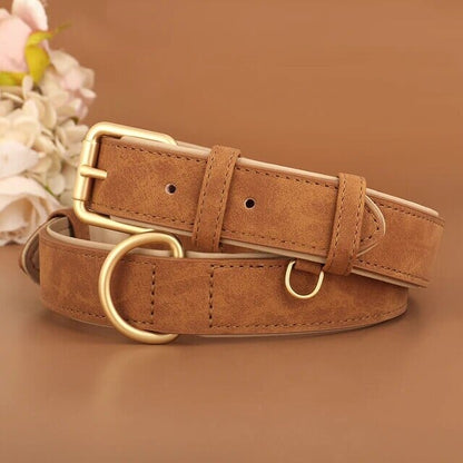 Bowlift Pup Collar