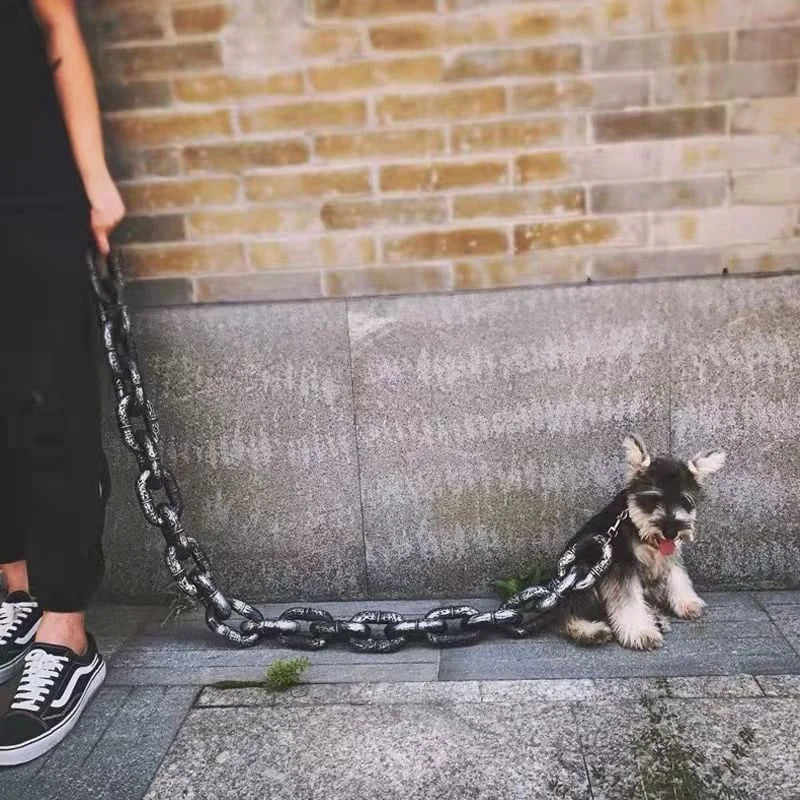 BowLift | Funny Large Dog Collar