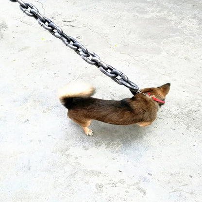 BowLift | Funny Large Dog Collar