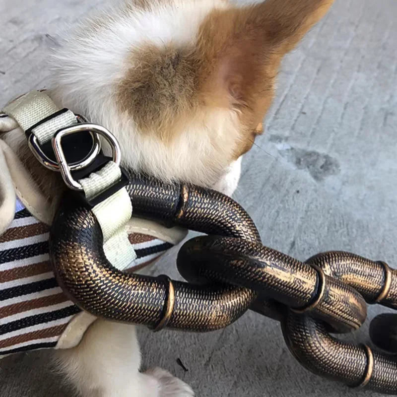 BowLift | Funny Large Dog Collar