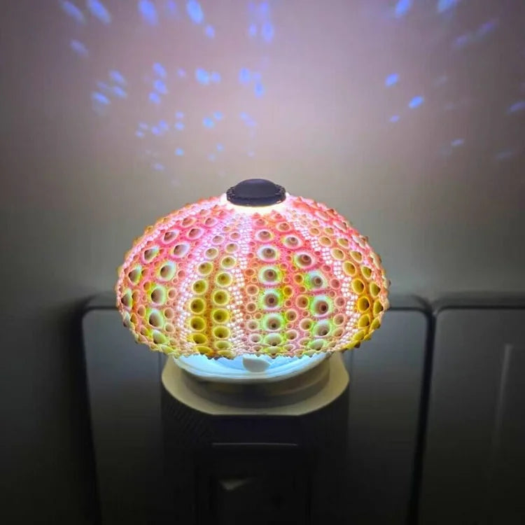 BowLift | LumiCraft – One-of-a-kind DIY Table Lamp with Natural Seashells for Cozy Décor