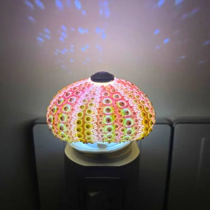 BowLift | LumiCraft – One-of-a-kind DIY Table Lamp with Natural Seashells for Cozy Décor