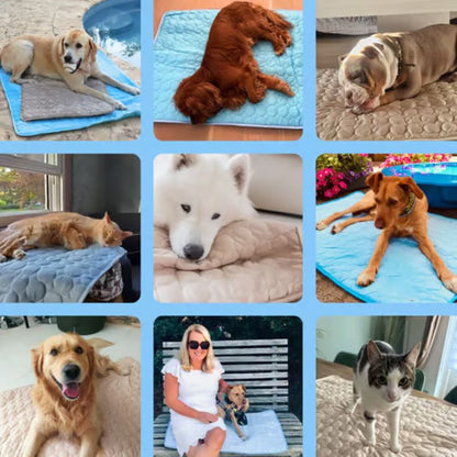 LZINA™ | Cooling Mat for Dogs (4x More Effective)