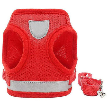 BowLift | Reflective Safety Dog Harness and Leash Set Offer