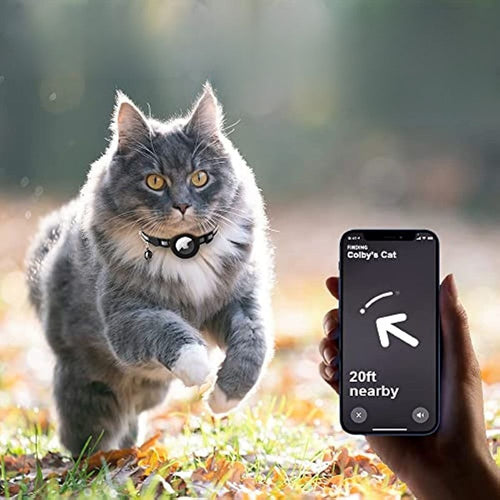 BowLift | Cat Collar With Bell And GPS Tracker Holder