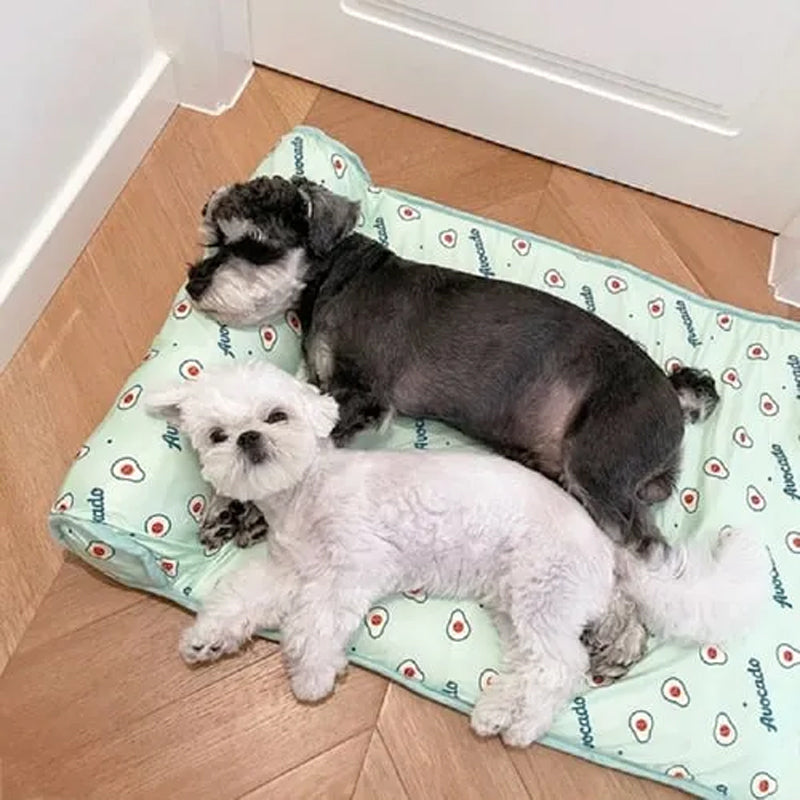Pet Summer Cool Bed Ice Silk Cooling Mat for Dogs & Cats | Bowlift
