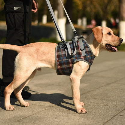 BowLift | Orthopedic Rear Leg Support Harness for Dogs – Ideal for Arthritis, Hip Dysplasia & Mobility Aid