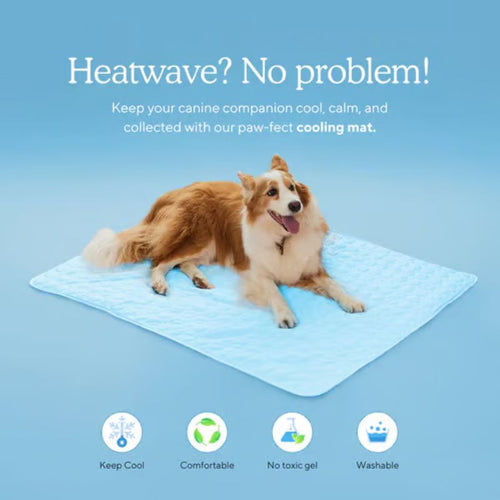 LZINA™ | Cooling Mat for Dogs (4x More Effective)
