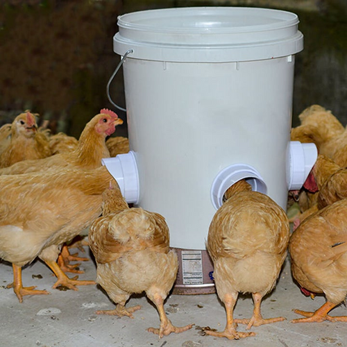 LZINA™ | DIY Chicken Feeder