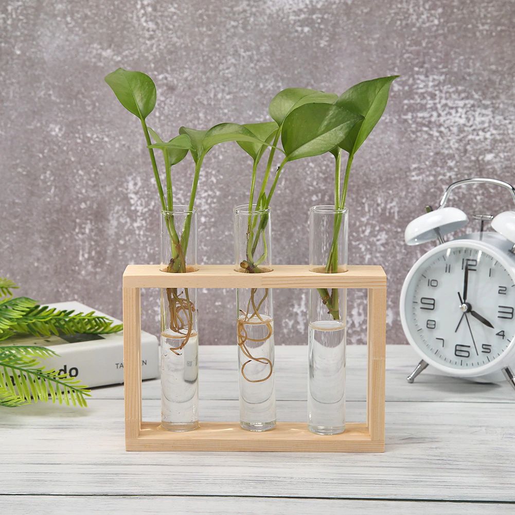 LZINA™ | Test Tube Vase