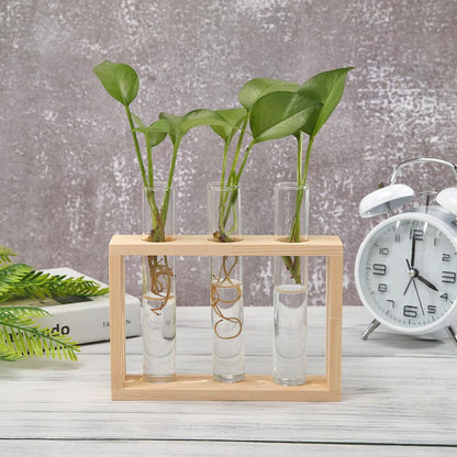 LZINA™ | Test Tube Vase