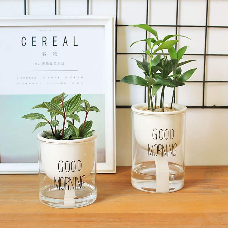 BowLift Self-Watering Hydro Flower Pot — Effortless Hydration for Lush, Vibrant Blooms