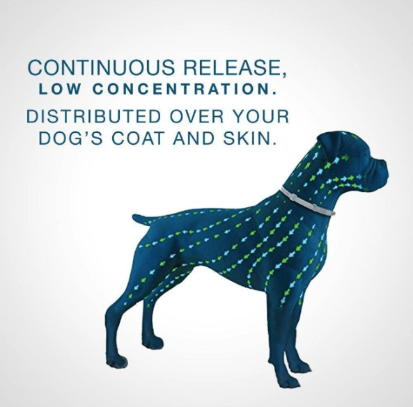 BowLift | Tick and Flea Eliminating Dog Collar