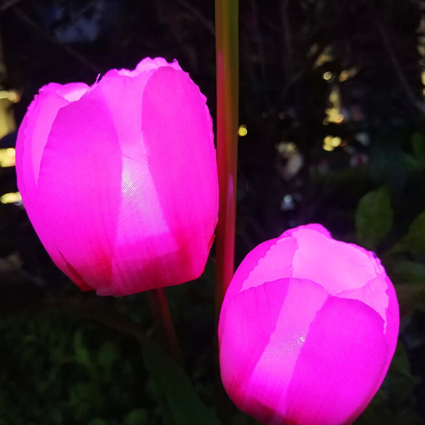 LZINA™ | Solar Tulip Lawn Light Outdoor Garden LED Tulip Flower Light Ground Stake Landscape Light