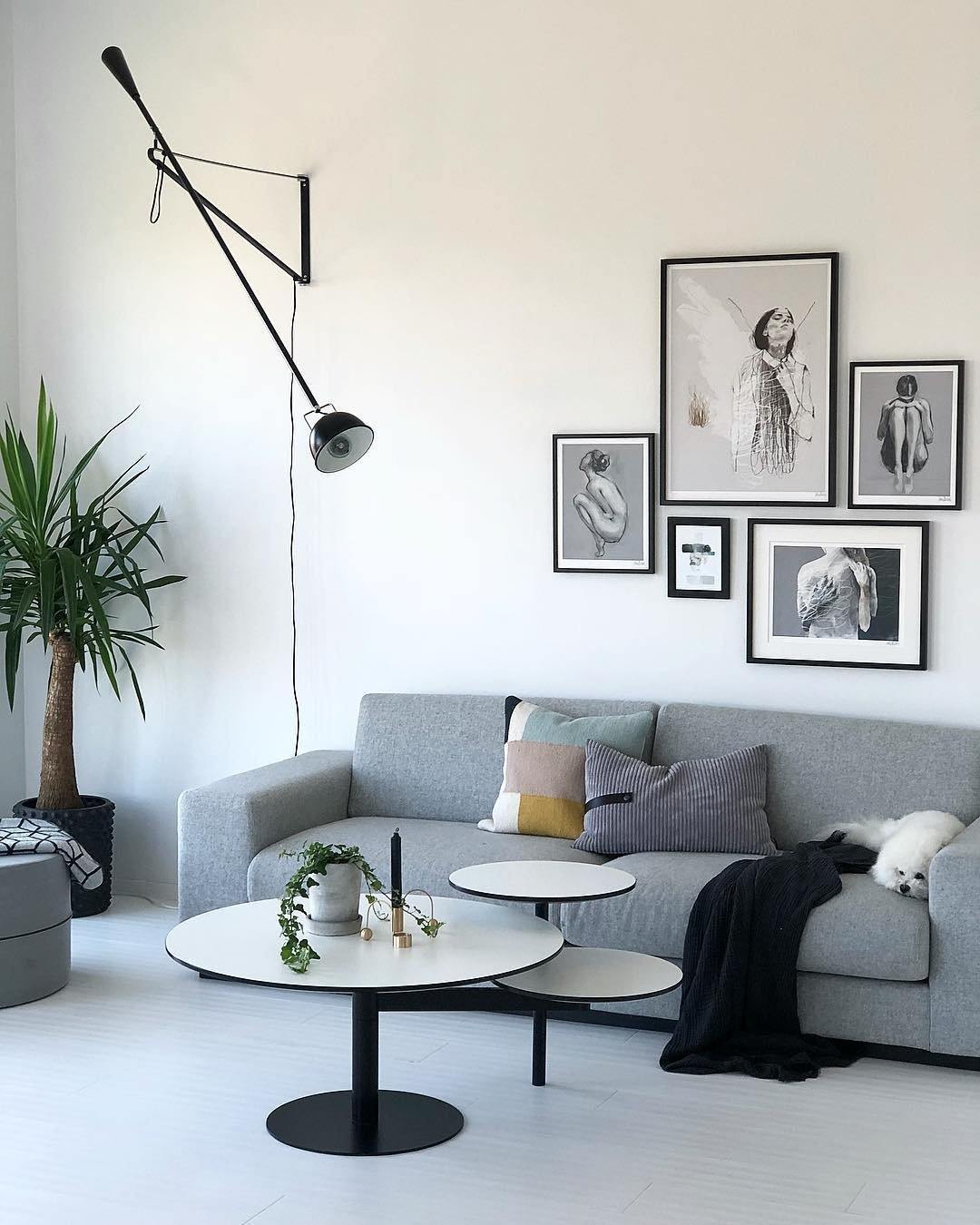 BowLift Model 265 Wall Lamp – Sleek, Modern Accent Lighting