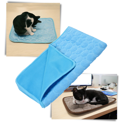 Cooling Mat for Pets | Bowlift