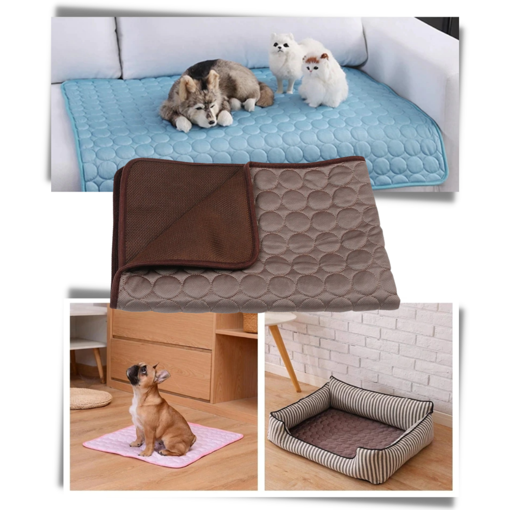 Cooling Mat for Pets | Bowlift