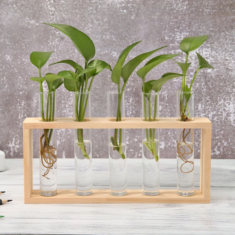 LZINA™ | Test Tube Vase