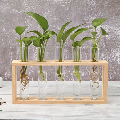 LZINA™ | Test Tube Vase