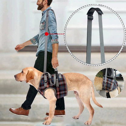 BowLift | Orthopedic Rear Leg Support Harness for Dogs – Ideal for Arthritis, Hip Dysplasia & Mobility Aid