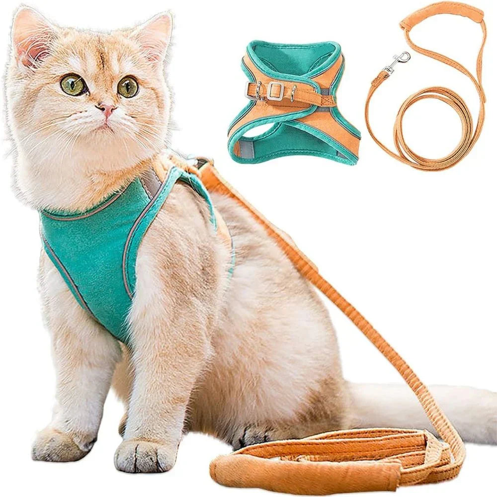 Cat Harness – Safe and Comfortable for Outdoor Adventures Bowlift