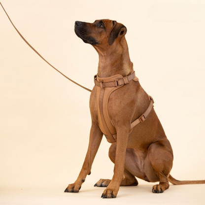BowLift | ComfyPaws Dog Harness Walking Set with Leash and Poop Bag Holder