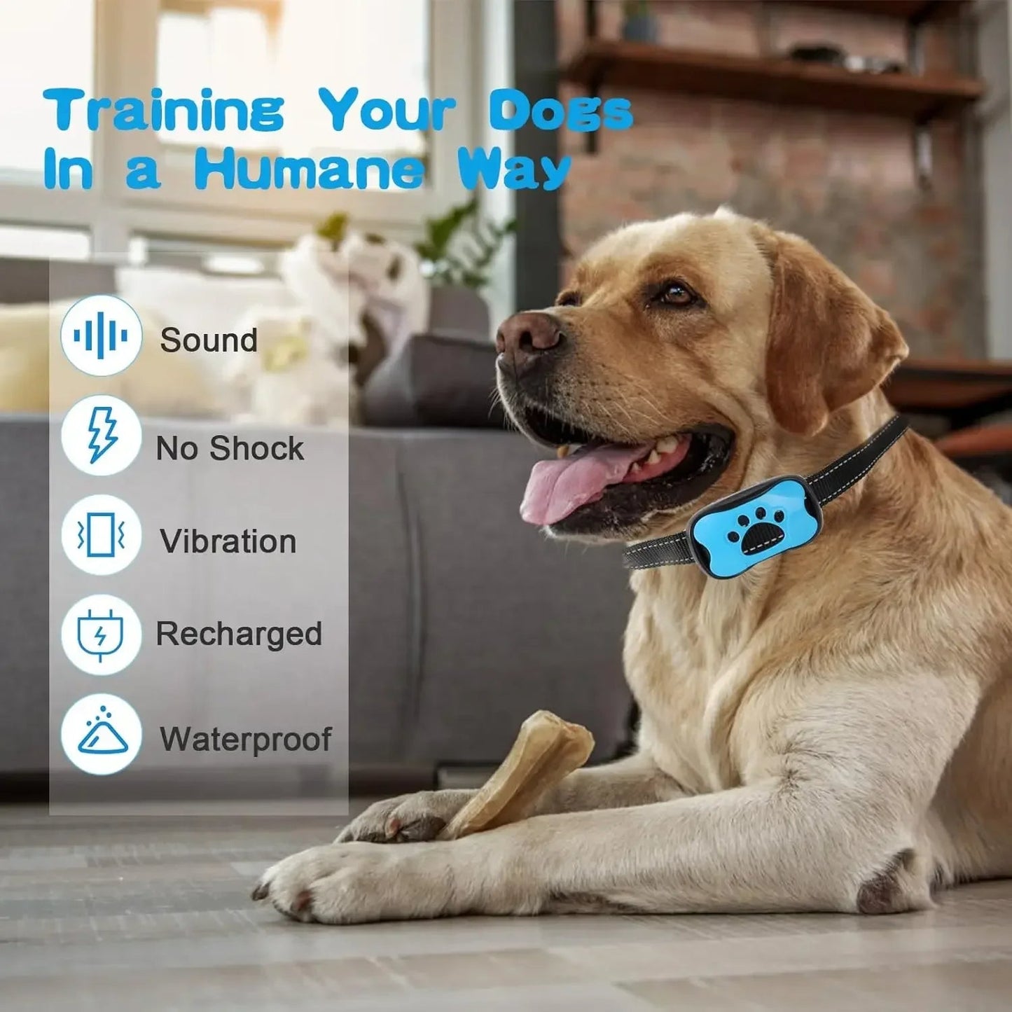 BowLift | Anti-Bark Dog Collar – Stop Unwanted Barking with the BarkBuddy Vibration Training Collar for Dogs