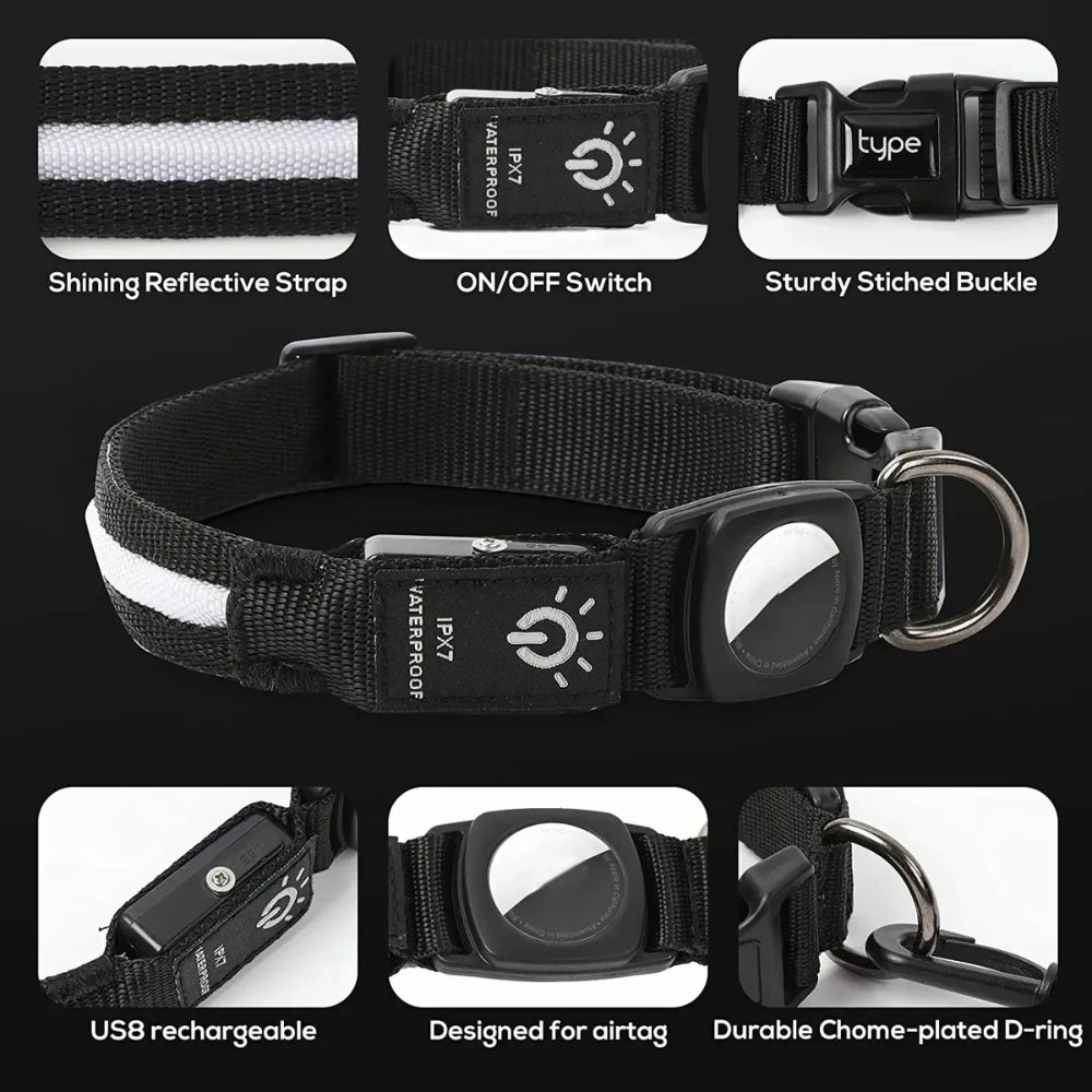 BowLift | Flashing Dog Collars – Waterproof LED Light Up Dog Collar with USB Rechargeable Glow, Dog Collars Illuminated for Night Safety, All Sizes
