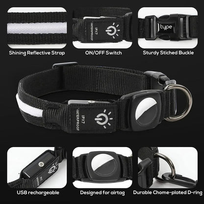 BowLift | Flashing Dog Collars – Waterproof LED Light Up Dog Collar with USB Rechargeable Glow, Dog Collars Illuminated for Night Safety, All Sizes