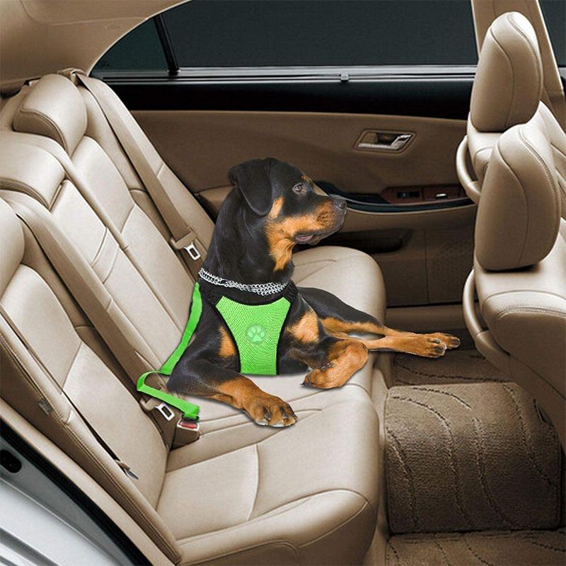 BowLift | Dog Safety Harness Set