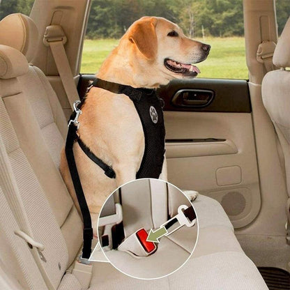 BowLift | Dog Safety Harness Set