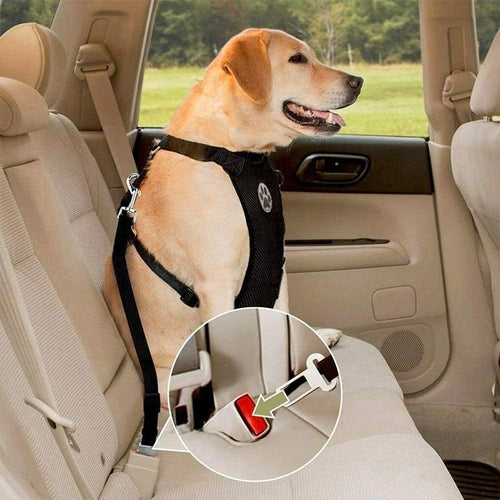 BowLift | Dog Safety Harness Set