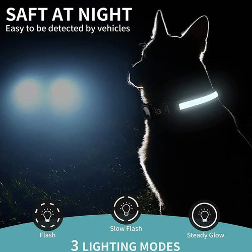 BowLift | Flashing Dog Collars – Waterproof LED Light Up Dog Collar with USB Rechargeable Glow, Dog Collars Illuminated for Night Safety, All Sizes