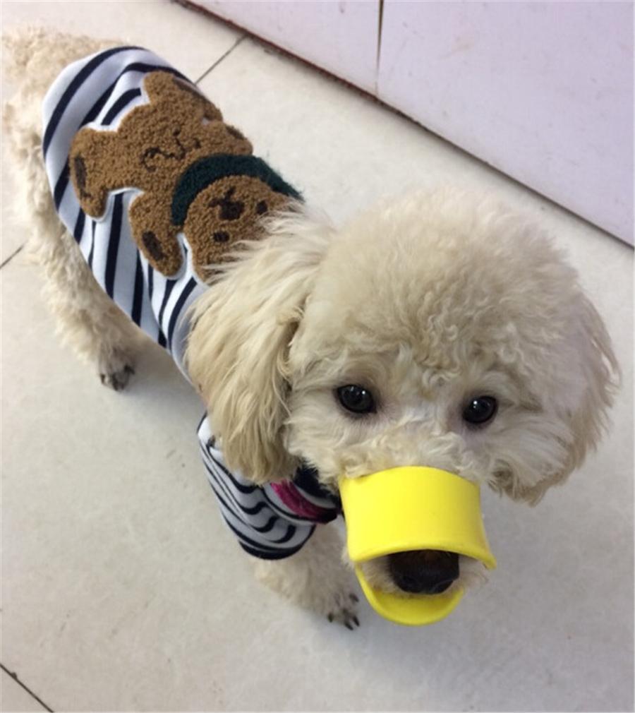 LZINA™ | Dog Muzzle - Cutest Adjustable Duck Mouth For Your Dog