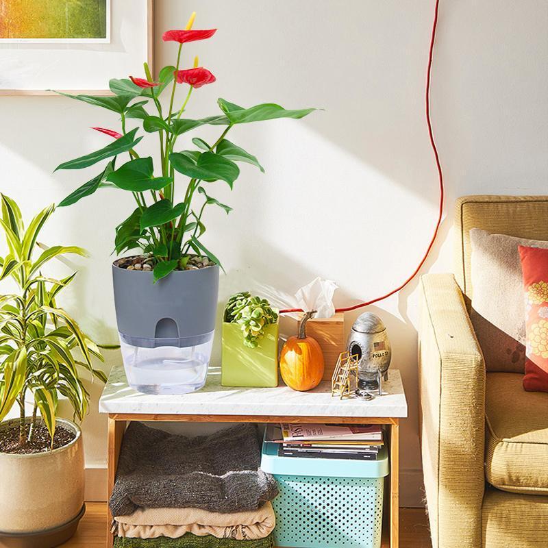 BowLift Self-Watering Hydro Flower Pot — Effortless Hydration for Lush, Vibrant Blooms
