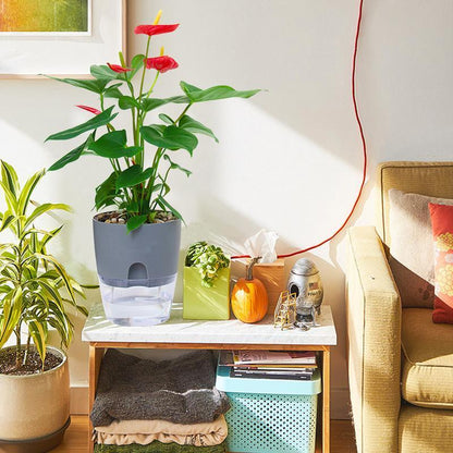 BowLift Self-Watering Hydro Flower Pot — Effortless Hydration for Lush, Vibrant Blooms