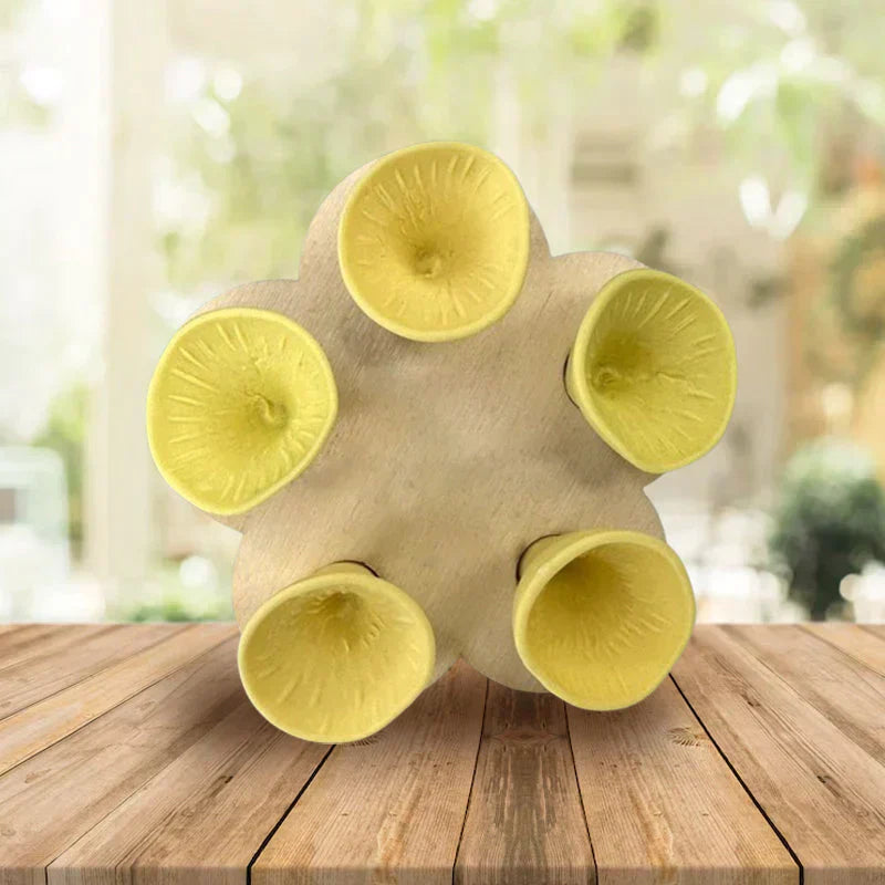 LZINA™ | Drinking cup for bees and insects