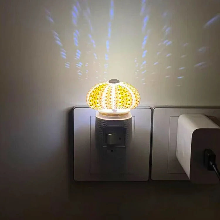 BowLift | LumiCraft – One-of-a-kind DIY Table Lamp with Natural Seashells for Cozy Décor