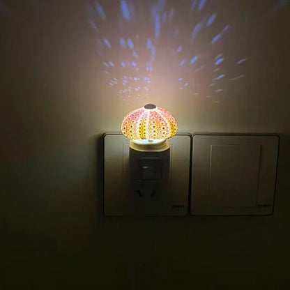 BowLift | LumiCraft – One-of-a-kind DIY Table Lamp with Natural Seashells for Cozy Décor