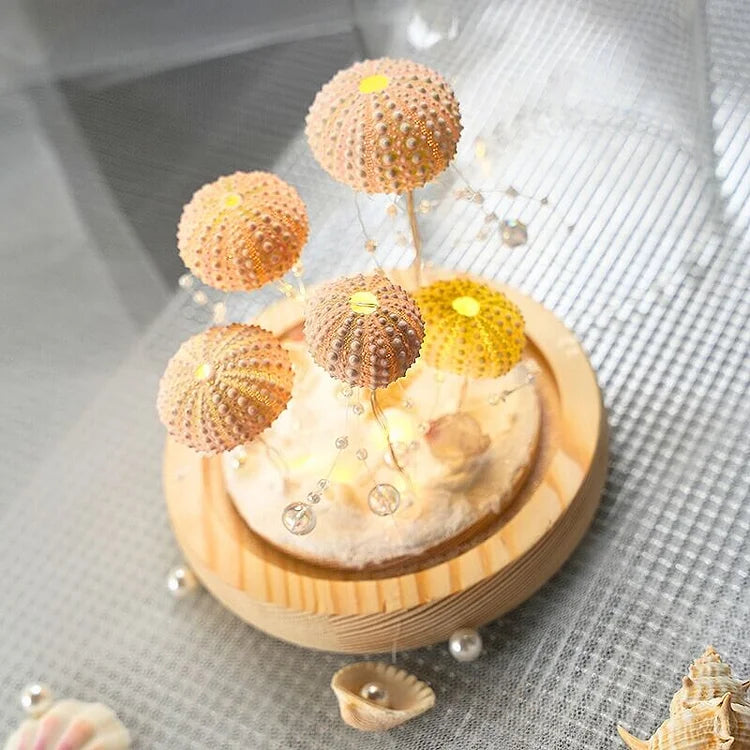 BowLift | LumiCraft – One-of-a-kind DIY Table Lamp with Natural Seashells for Cozy Décor