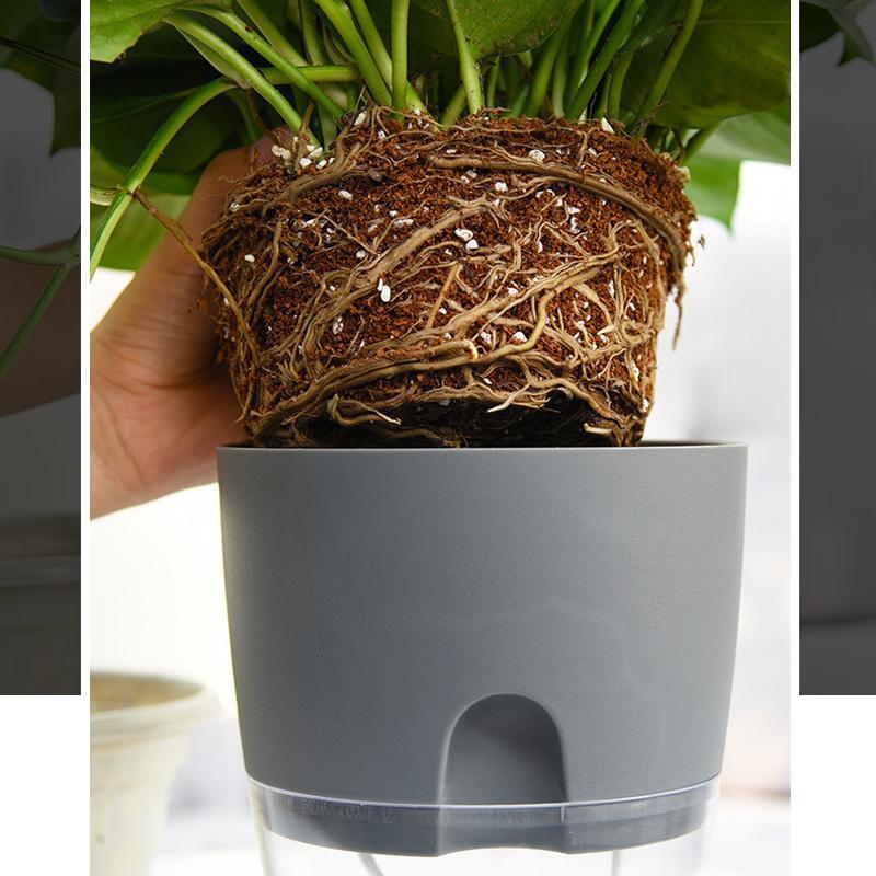 BowLift Self-Watering Hydro Flower Pot — Effortless Hydration for Lush, Vibrant Blooms