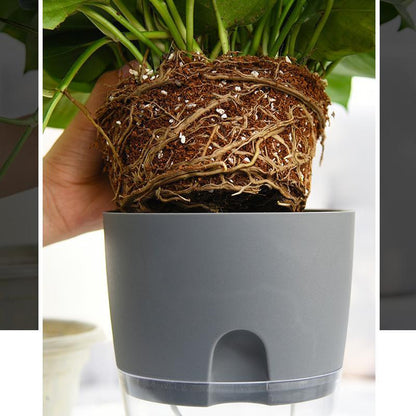 BowLift Self-Watering Hydro Flower Pot — Effortless Hydration for Lush, Vibrant Blooms