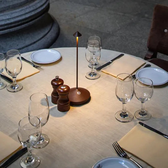 BowLift Spikelight™: Waterproof, Dimmable Wired Lighting for Indoor and Outdoor Use