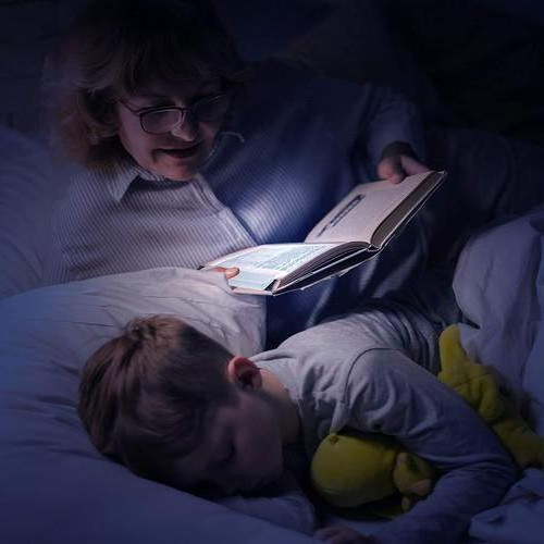 LZINA™ | Premium Flat Book Panel Reading Night Light