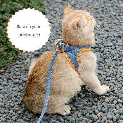 Adventurous Cat Harness with Leash – Adjustable and Reflective | Bowlift