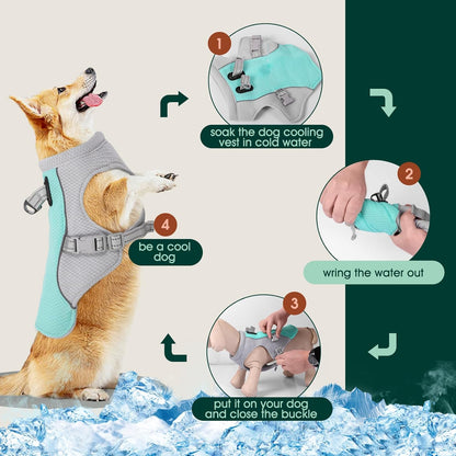 BowLift | Summer Reflective Dog Cooling Vest & Quick-Release Harness